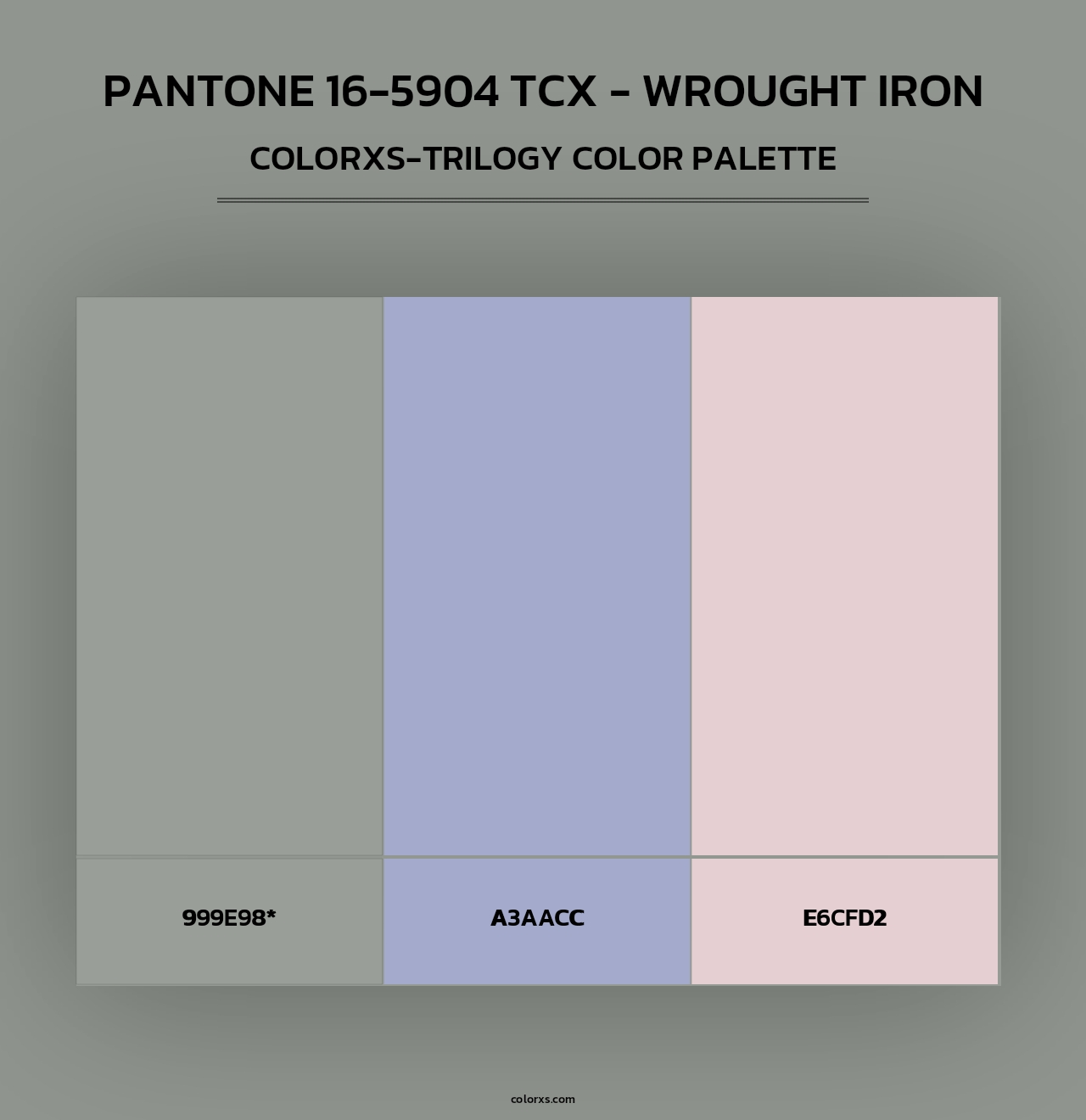 PANTONE 16-5904 TCX - Wrought Iron - Colorxs Trilogy Palette
