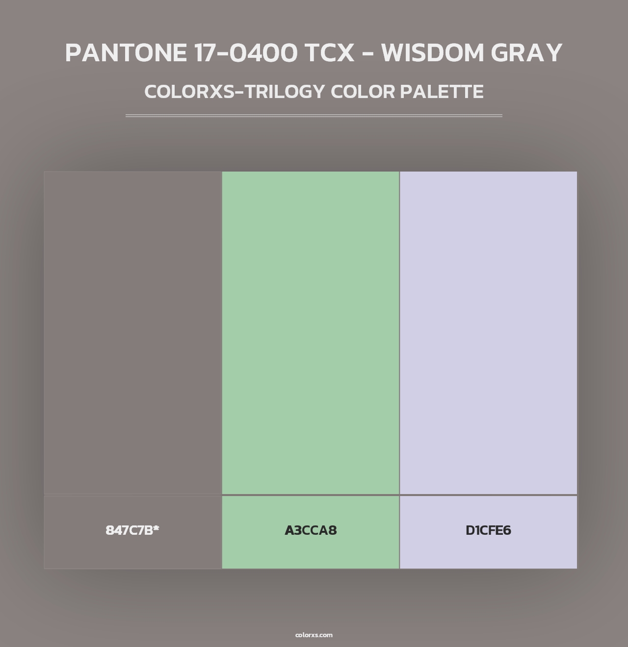 PANTONE 17-0400 TCX - Wisdom Gray - Colorxs Trilogy Palette