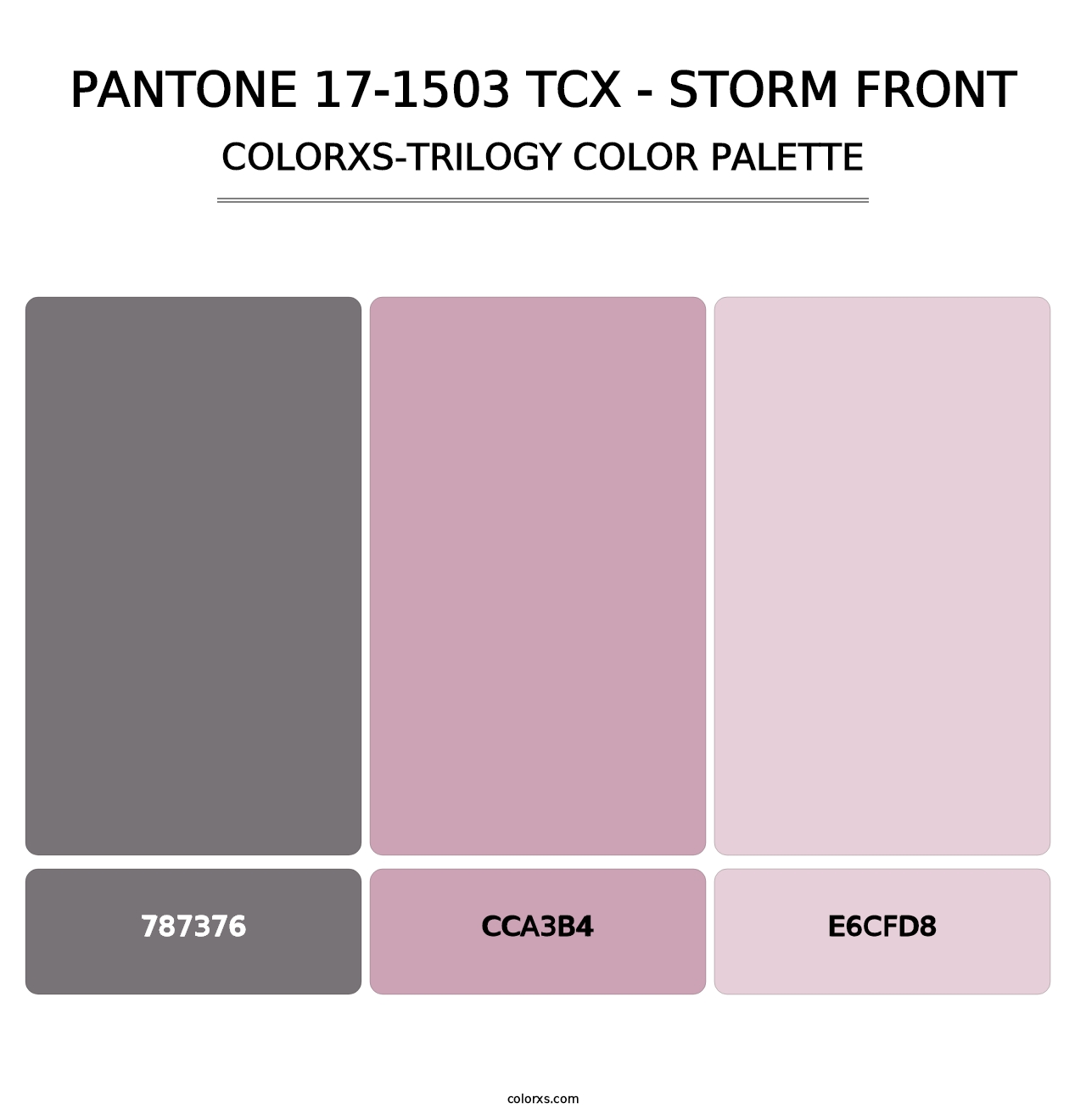 PANTONE 17-1503 TCX - Storm Front - Colorxs Trilogy Palette