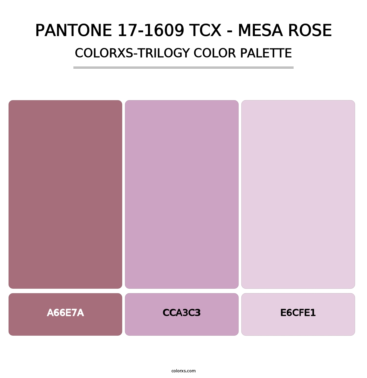 PANTONE 17-1609 TCX - Mesa Rose - Colorxs Trilogy Palette