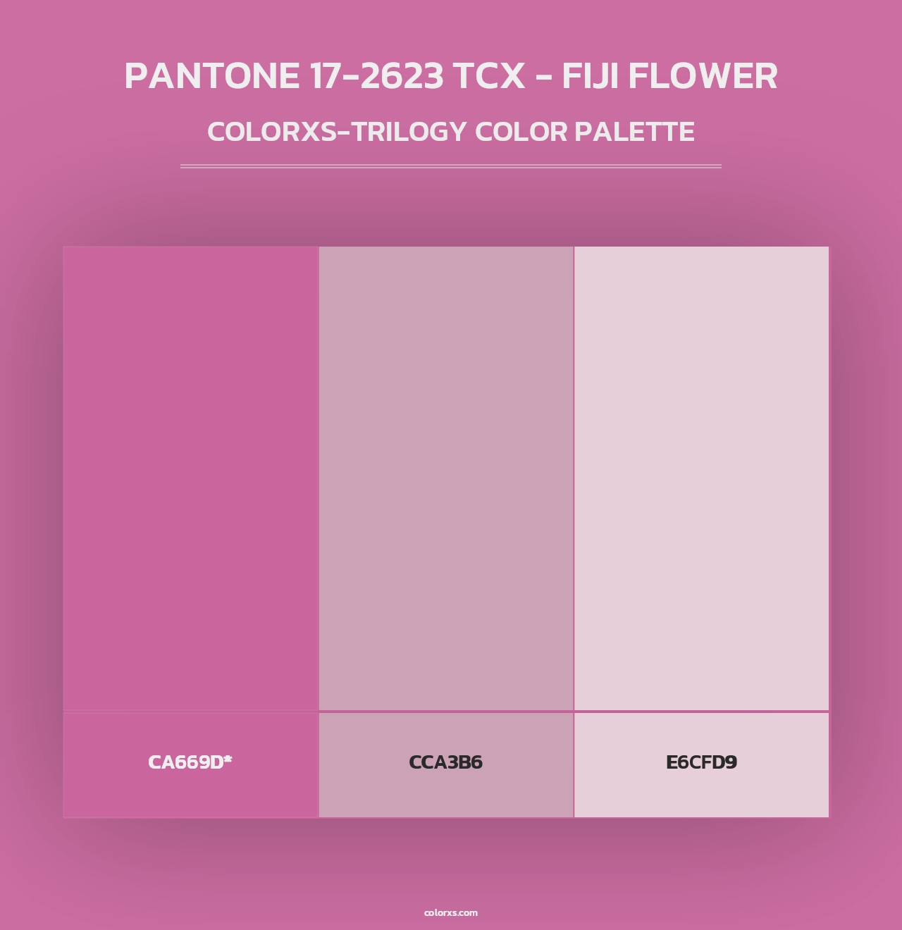 PANTONE 17-2623 TCX - Fiji Flower - Colorxs Trilogy Palette