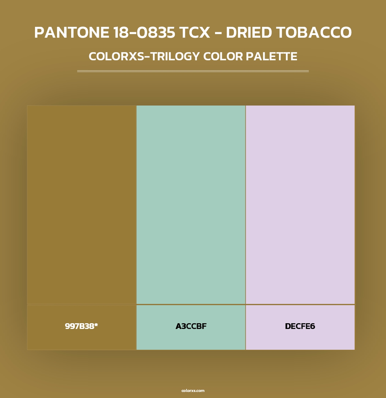 PANTONE 18-0835 TCX - Dried Tobacco - Colorxs Trilogy Palette