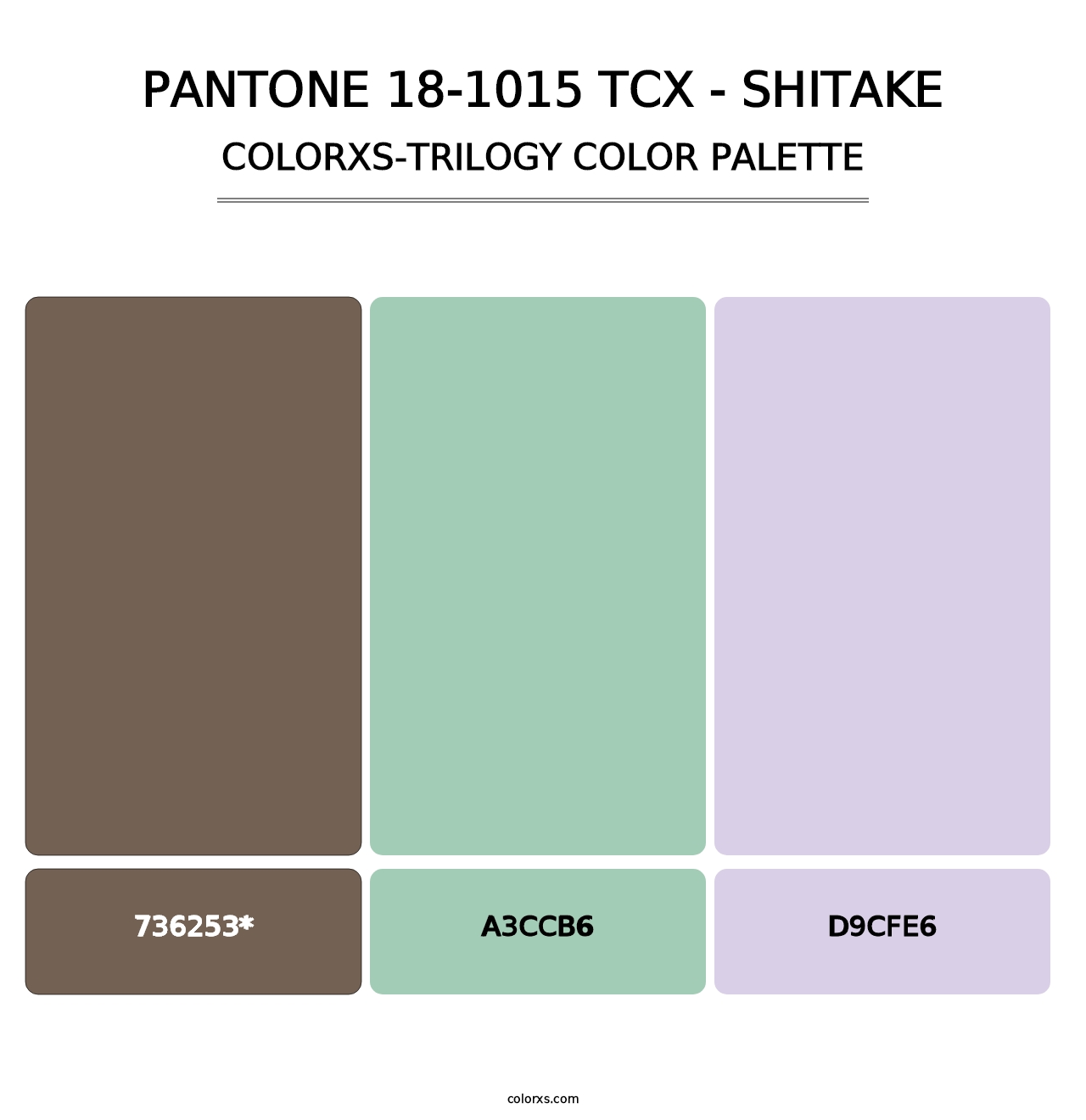 PANTONE 18-1015 TCX - Shitake - Colorxs Trilogy Palette