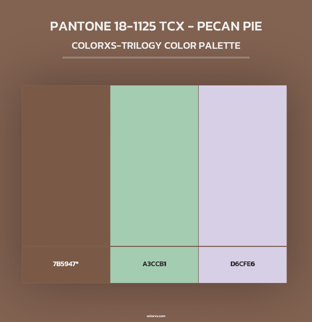 PANTONE 18-1125 TCX - Pecan Pie - Colorxs Trilogy Palette