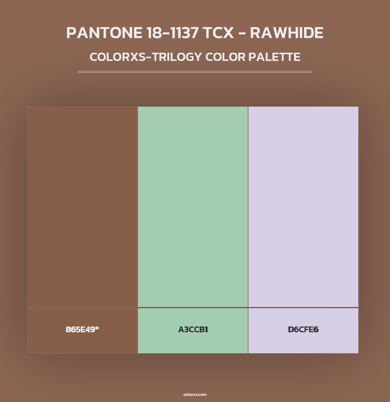 PANTONE 18-1137 TCX - Rawhide - Colorxs Trilogy Palette