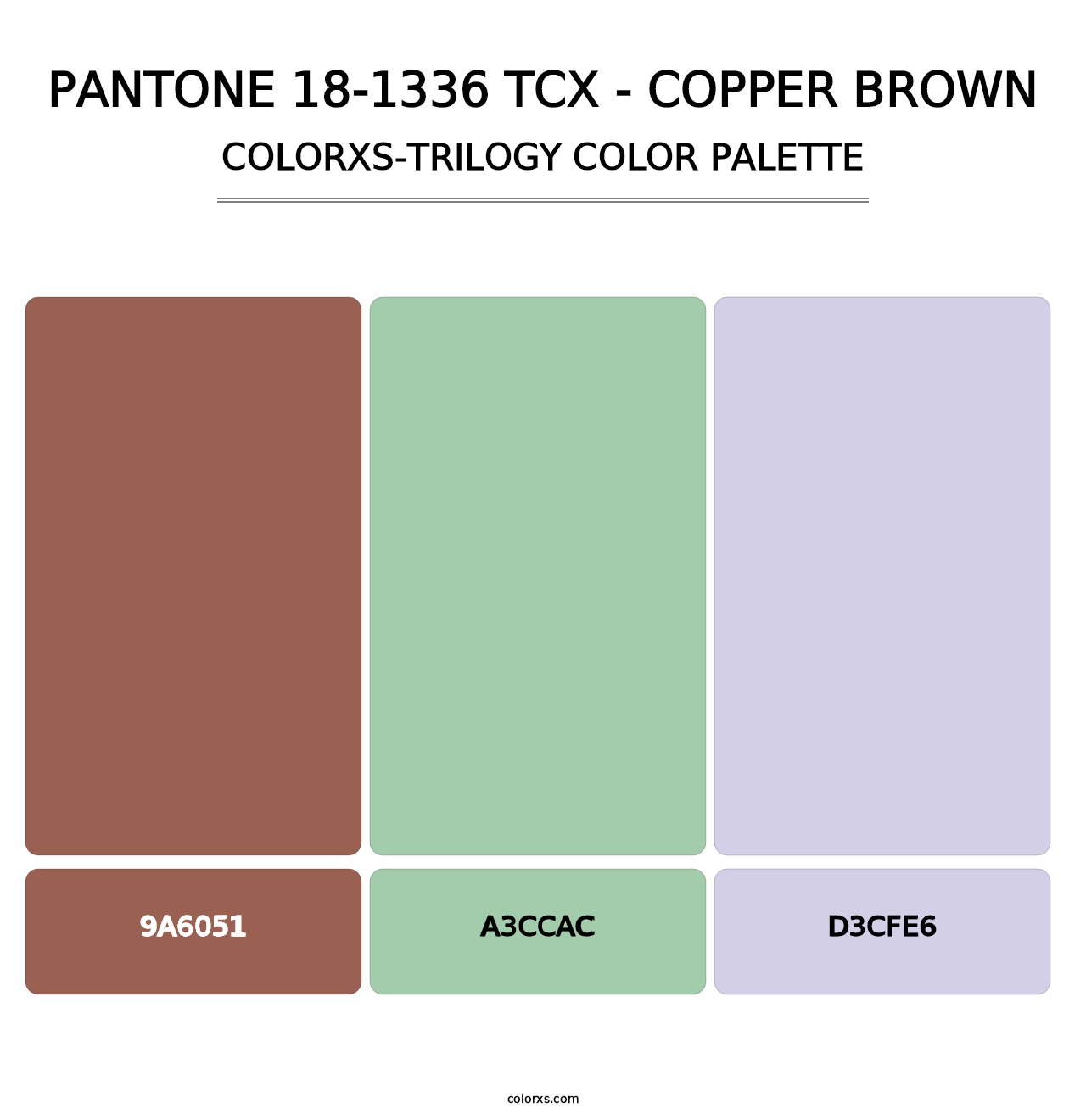 PANTONE 18-1336 TCX - Copper Brown - Colorxs Trilogy Palette
