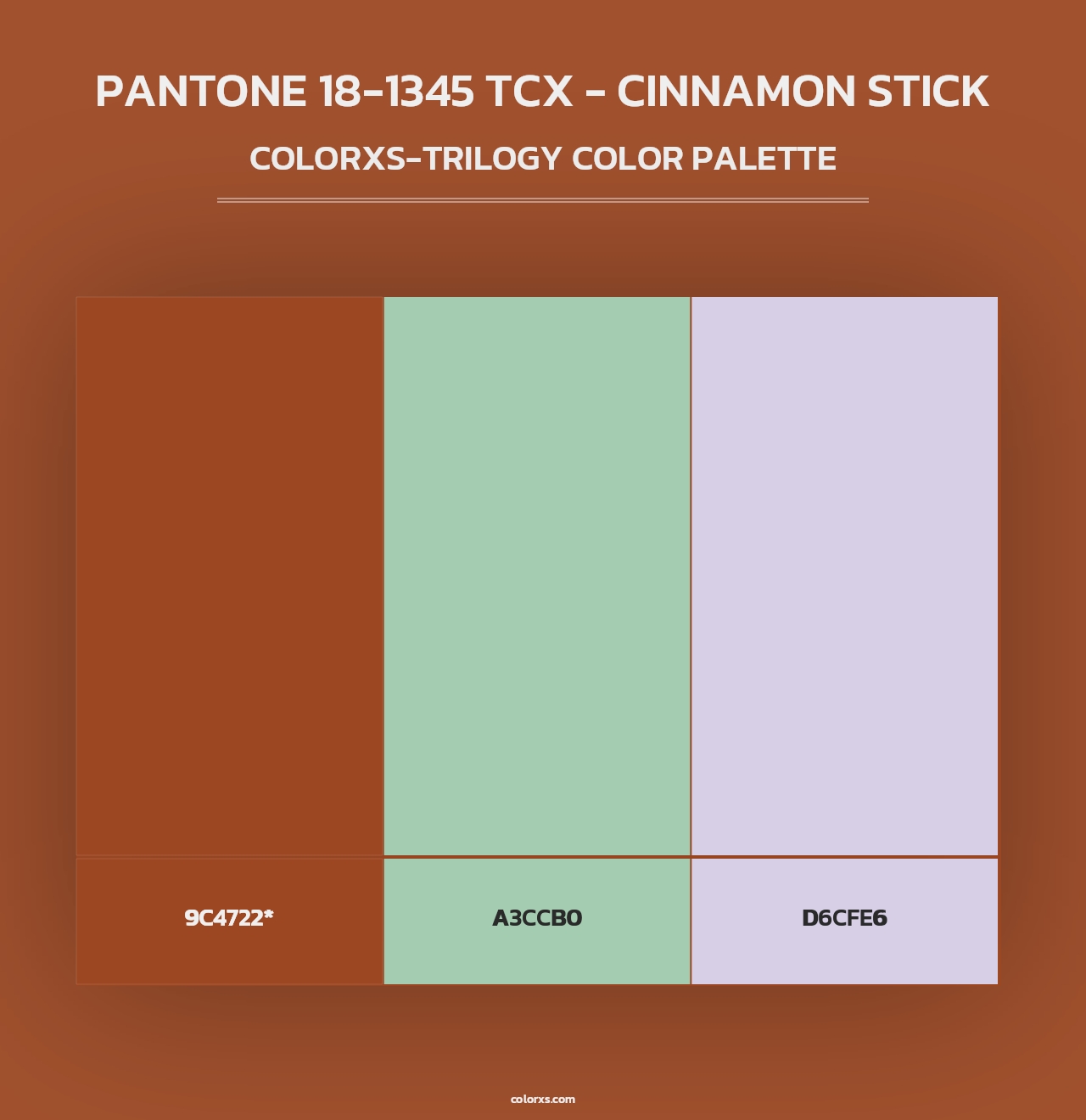 PANTONE 18-1345 TCX - Cinnamon Stick - Colorxs Trilogy Palette