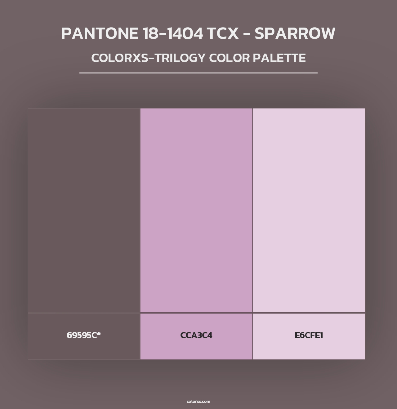 PANTONE 18-1404 TCX - Sparrow - Colorxs Trilogy Palette