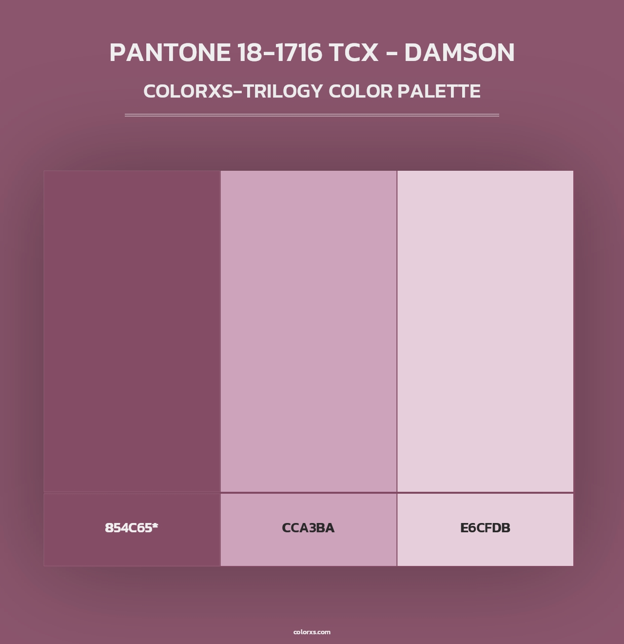 PANTONE 18-1716 TCX - Damson - Colorxs Trilogy Palette