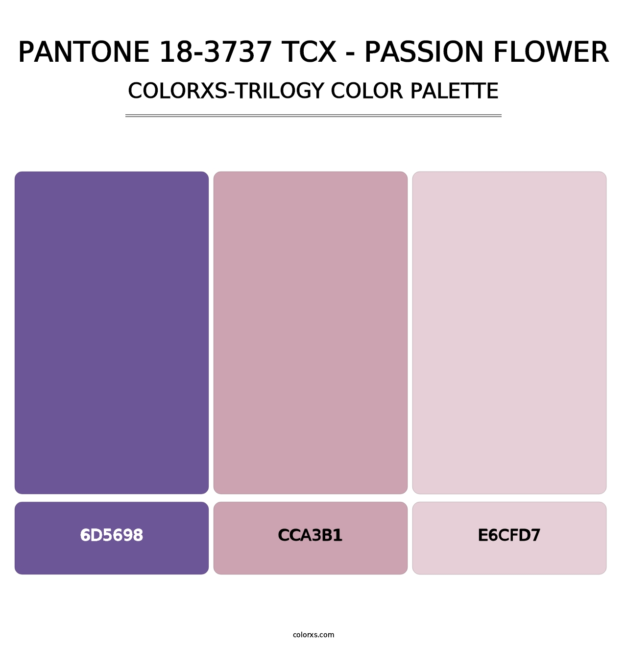 PANTONE 18-3737 TCX - Passion Flower - Colorxs Trilogy Palette