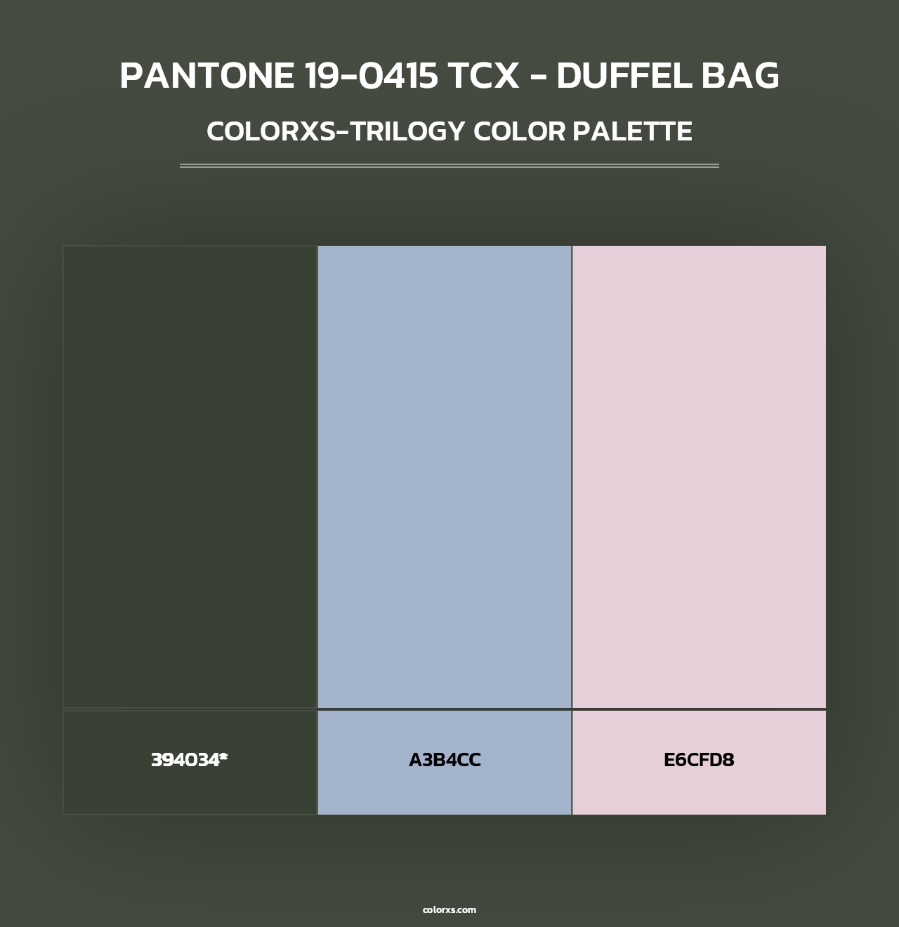 PANTONE 19-0415 TCX - Duffel Bag - Colorxs Trilogy Palette