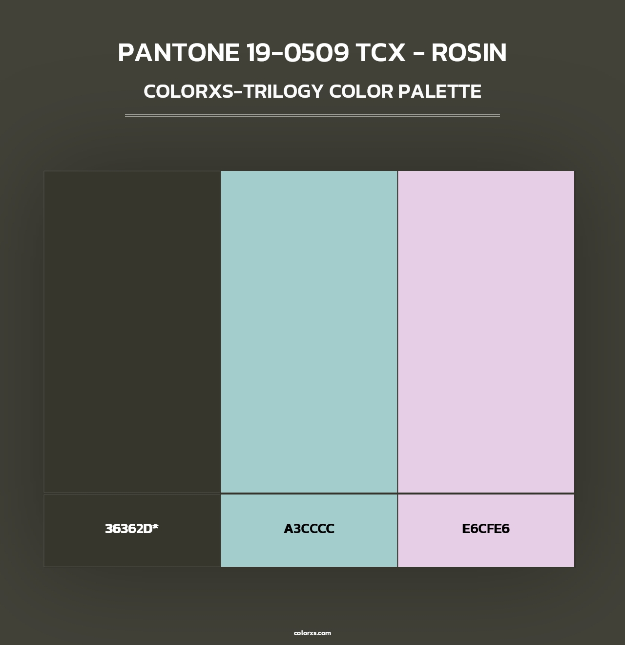 PANTONE 19-0509 TCX - Rosin - Colorxs Trilogy Palette