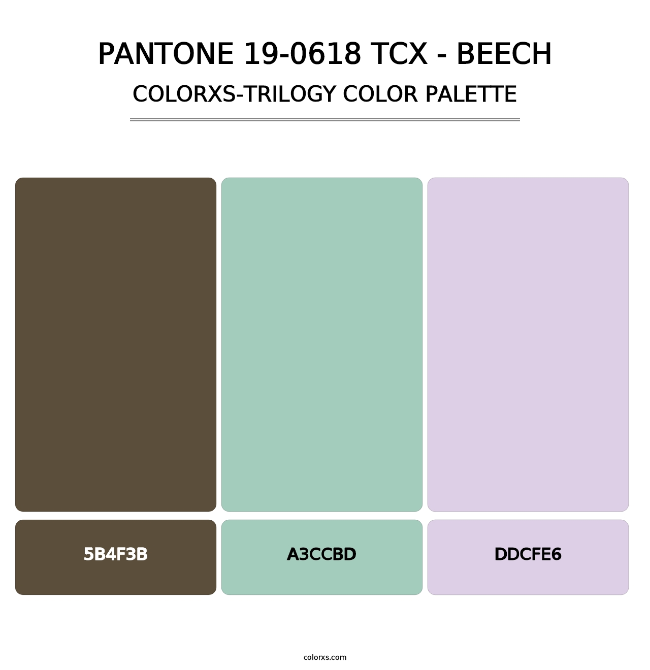 PANTONE 19-0618 TCX - Beech - Colorxs Trilogy Palette
