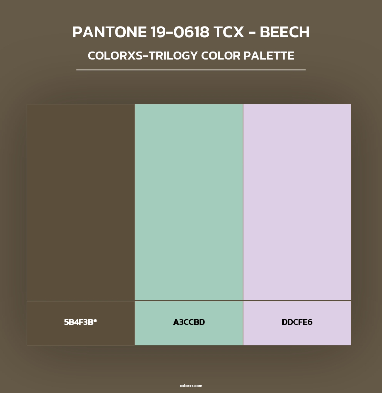 PANTONE 19-0618 TCX - Beech - Colorxs Trilogy Palette