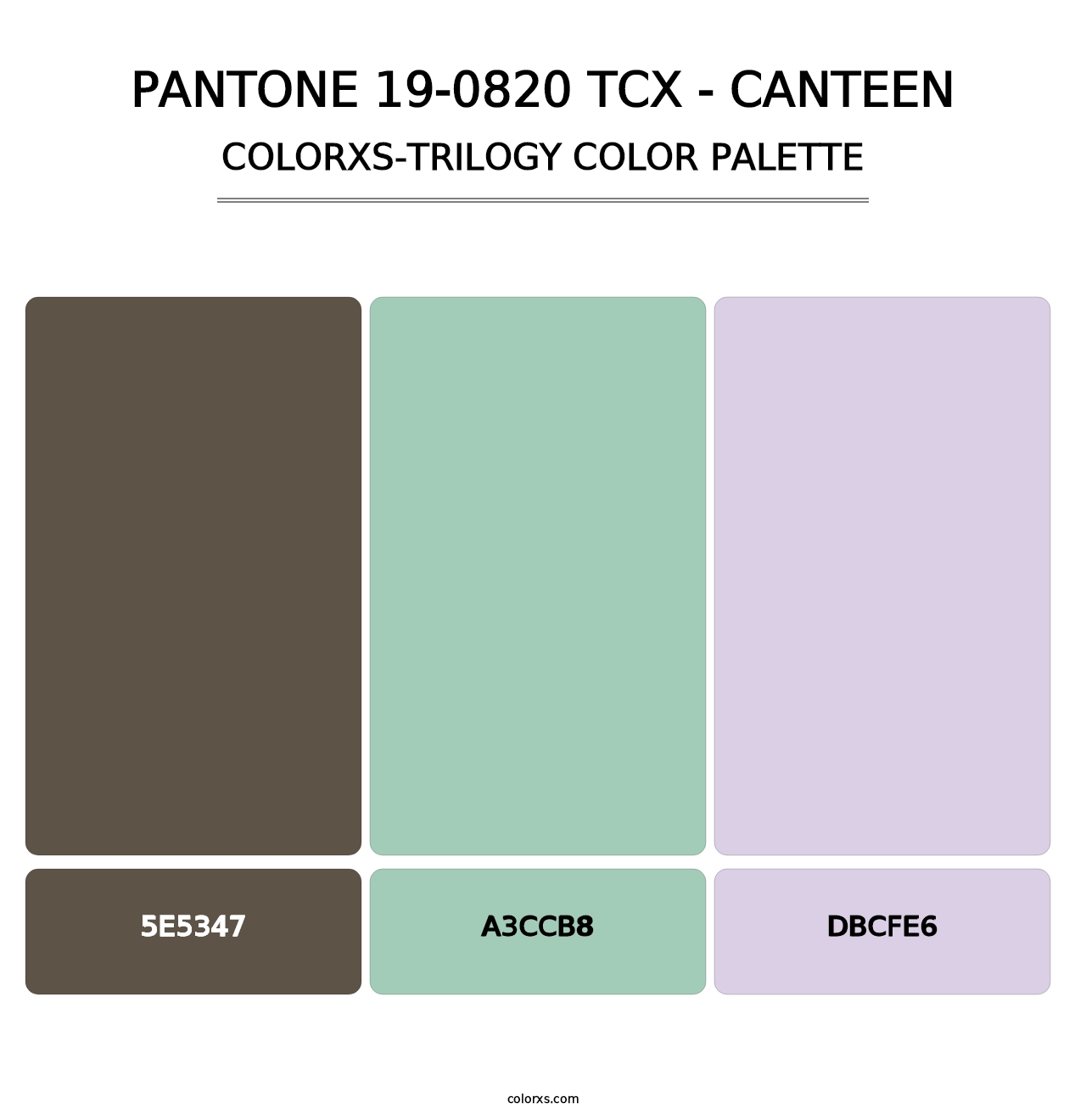 PANTONE 19-0820 TCX - Canteen - Colorxs Trilogy Palette