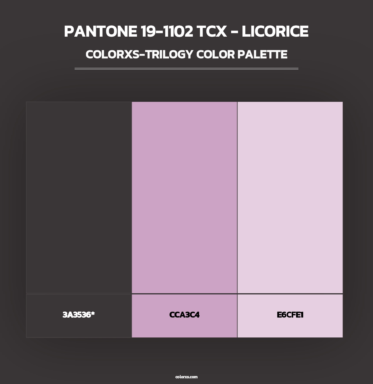 PANTONE 19-1102 TCX - Licorice - Colorxs Trilogy Palette