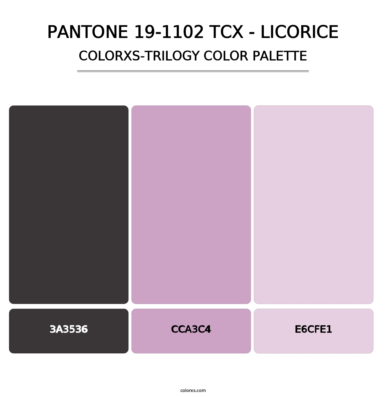 PANTONE 19-1102 TCX - Licorice - Colorxs Trilogy Palette