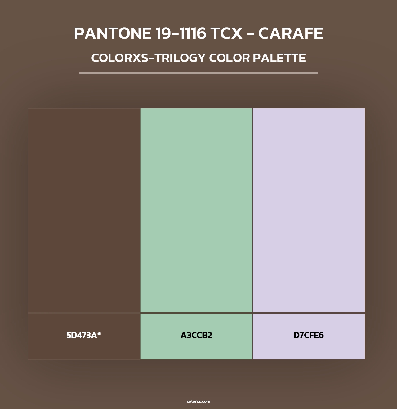 PANTONE 19-1116 TCX - Carafe - Colorxs Trilogy Palette