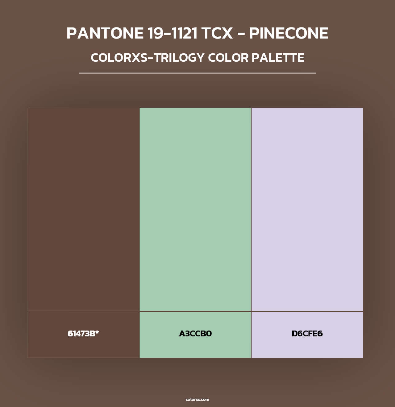 PANTONE 19-1121 TCX - Pinecone - Colorxs Trilogy Palette