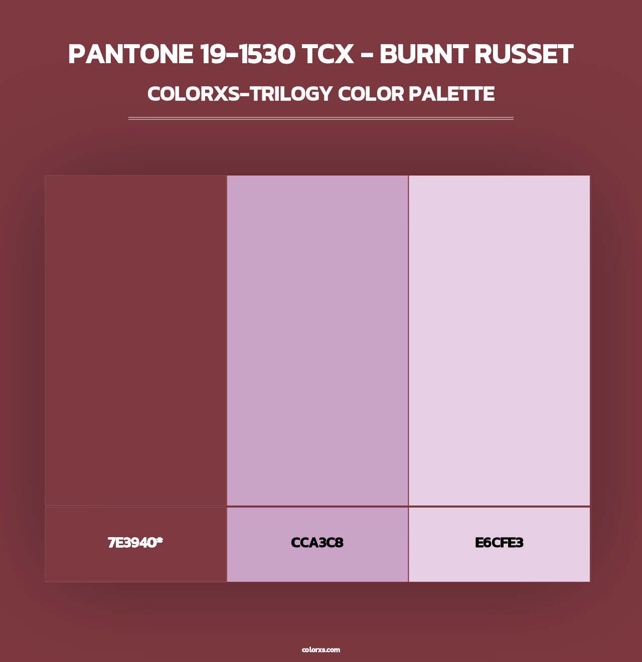 PANTONE 19-1530 TCX - Burnt Russet - Colorxs Trilogy Palette