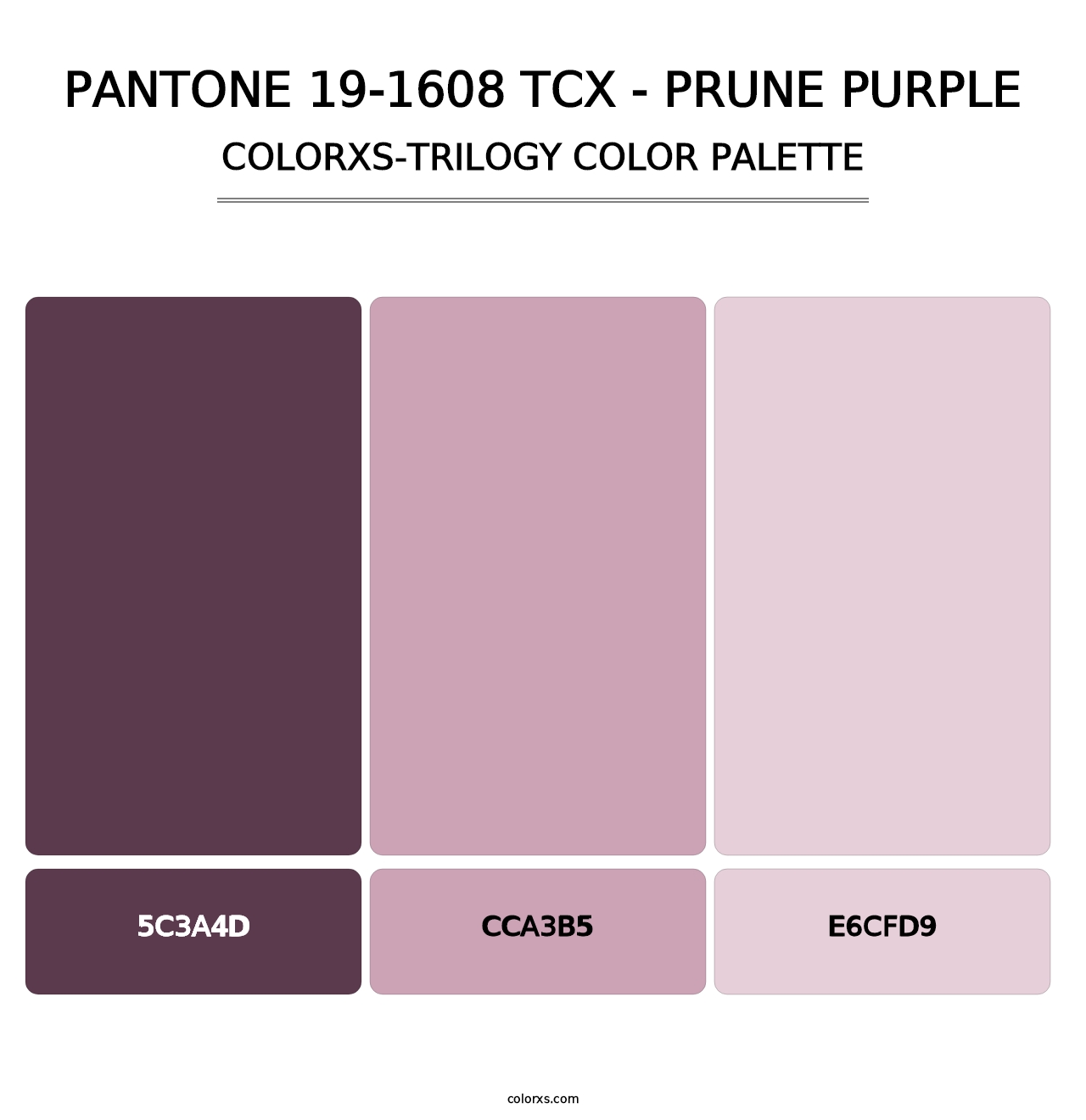 PANTONE 19-1608 TCX - Prune Purple - Colorxs Trilogy Palette