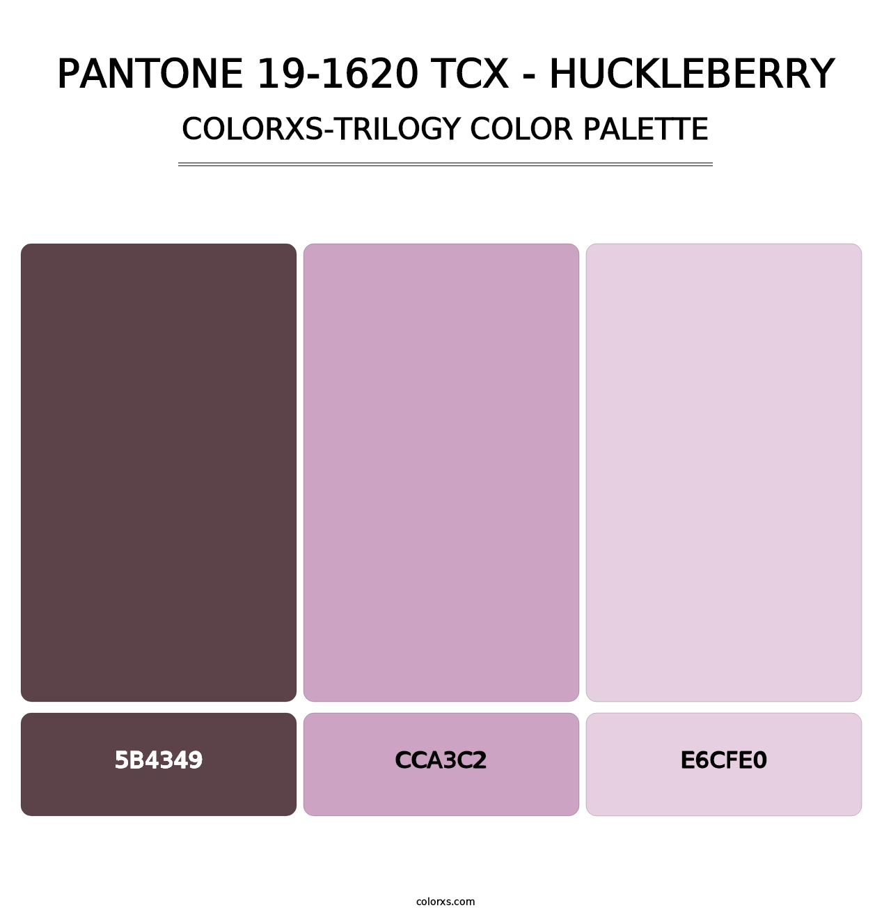 PANTONE 19-1620 TCX - Huckleberry - Colorxs Trilogy Palette