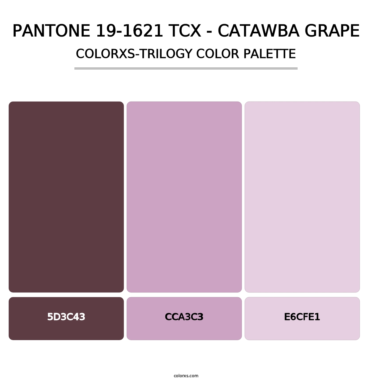 PANTONE 19-1621 TCX - Catawba Grape - Colorxs Trilogy Palette