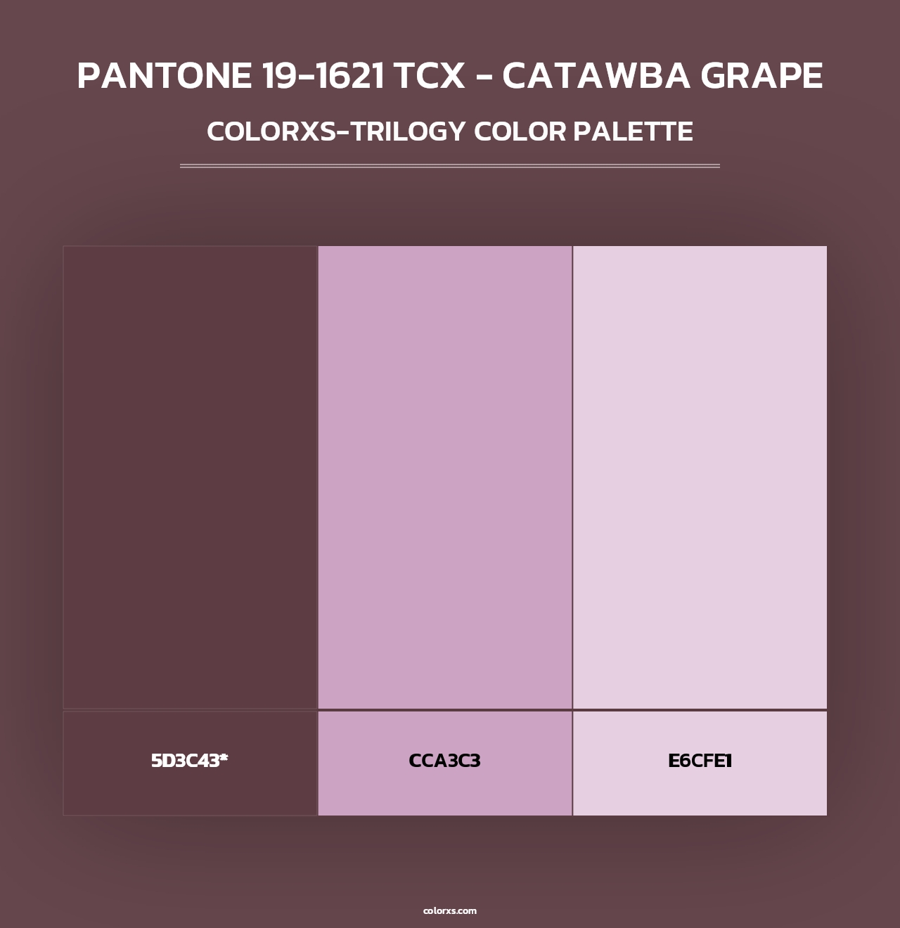 PANTONE 19-1621 TCX - Catawba Grape - Colorxs Trilogy Palette