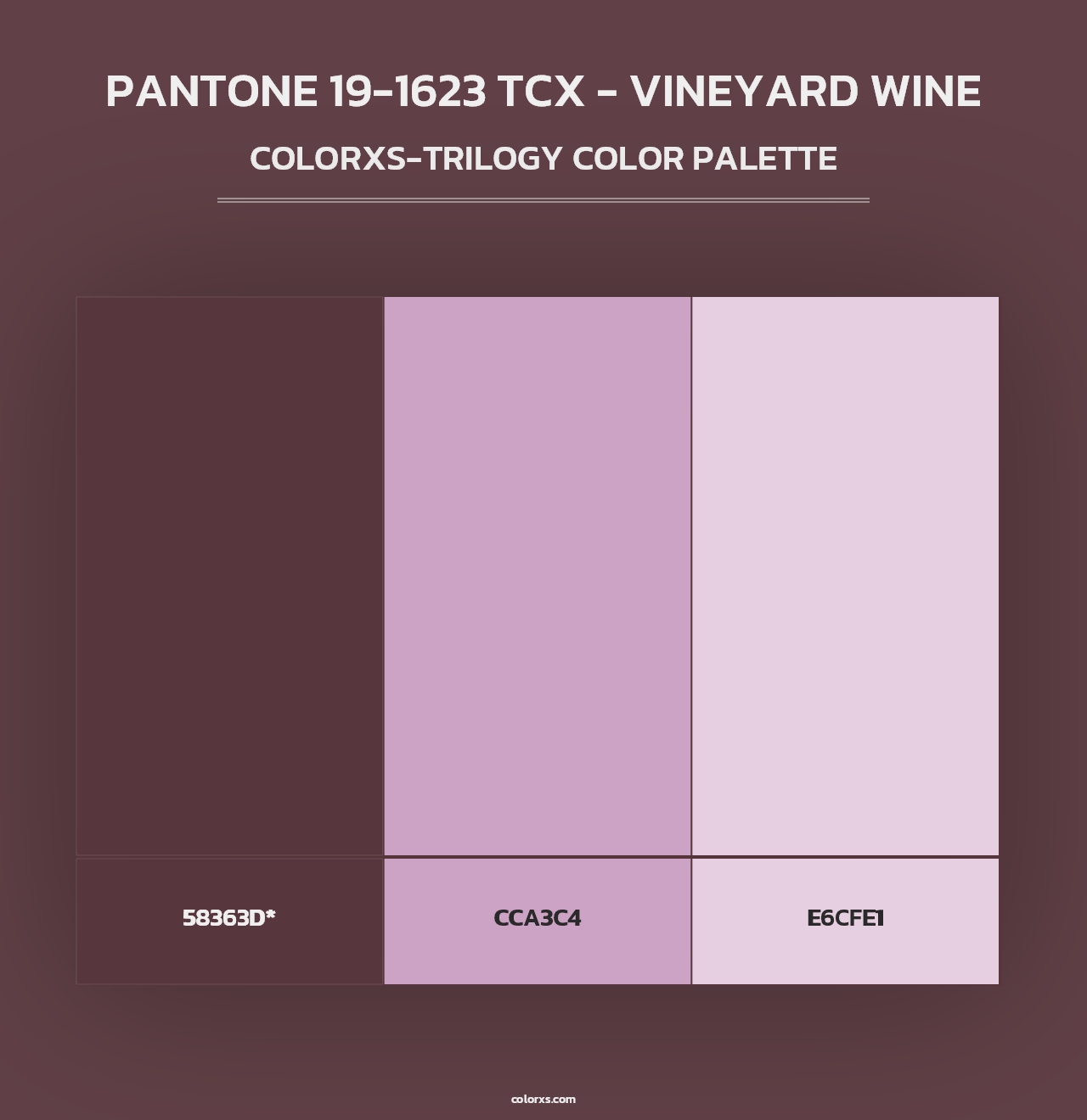 PANTONE 19-1623 TCX - Vineyard Wine - Colorxs Trilogy Palette