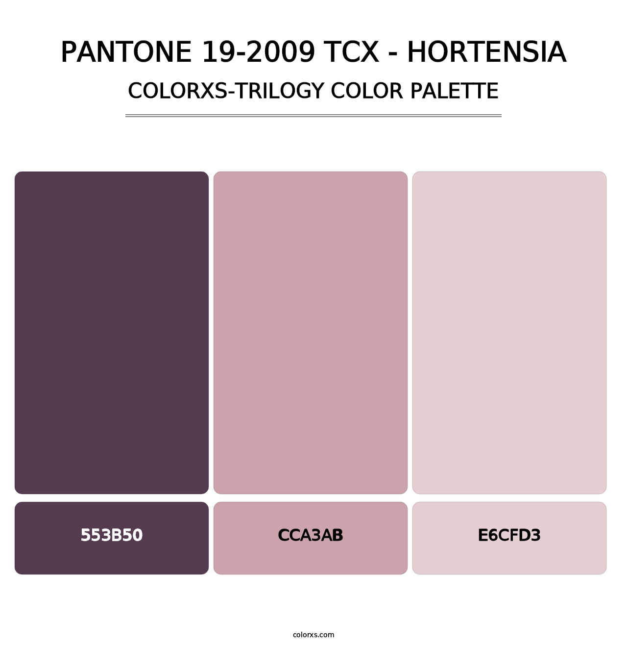 PANTONE 19-2009 TCX - Hortensia - Colorxs Trilogy Palette