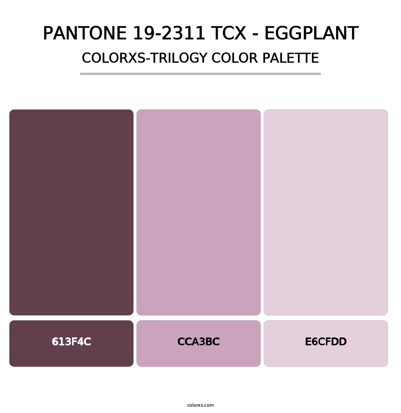 PANTONE 19-2311 TCX - Eggplant - Colorxs Trilogy Palette