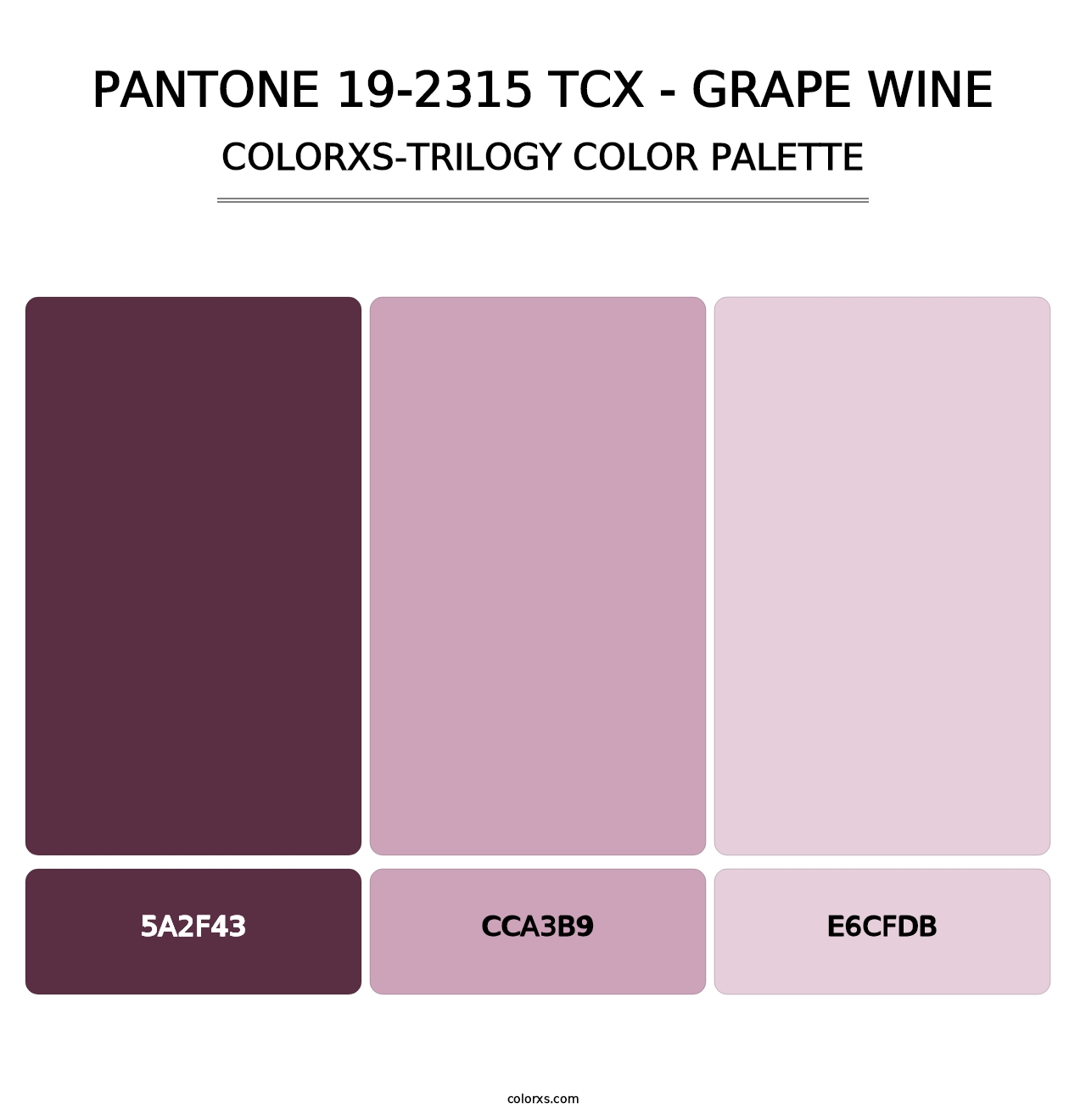 PANTONE 19-2315 TCX - Grape Wine - Colorxs Trilogy Palette