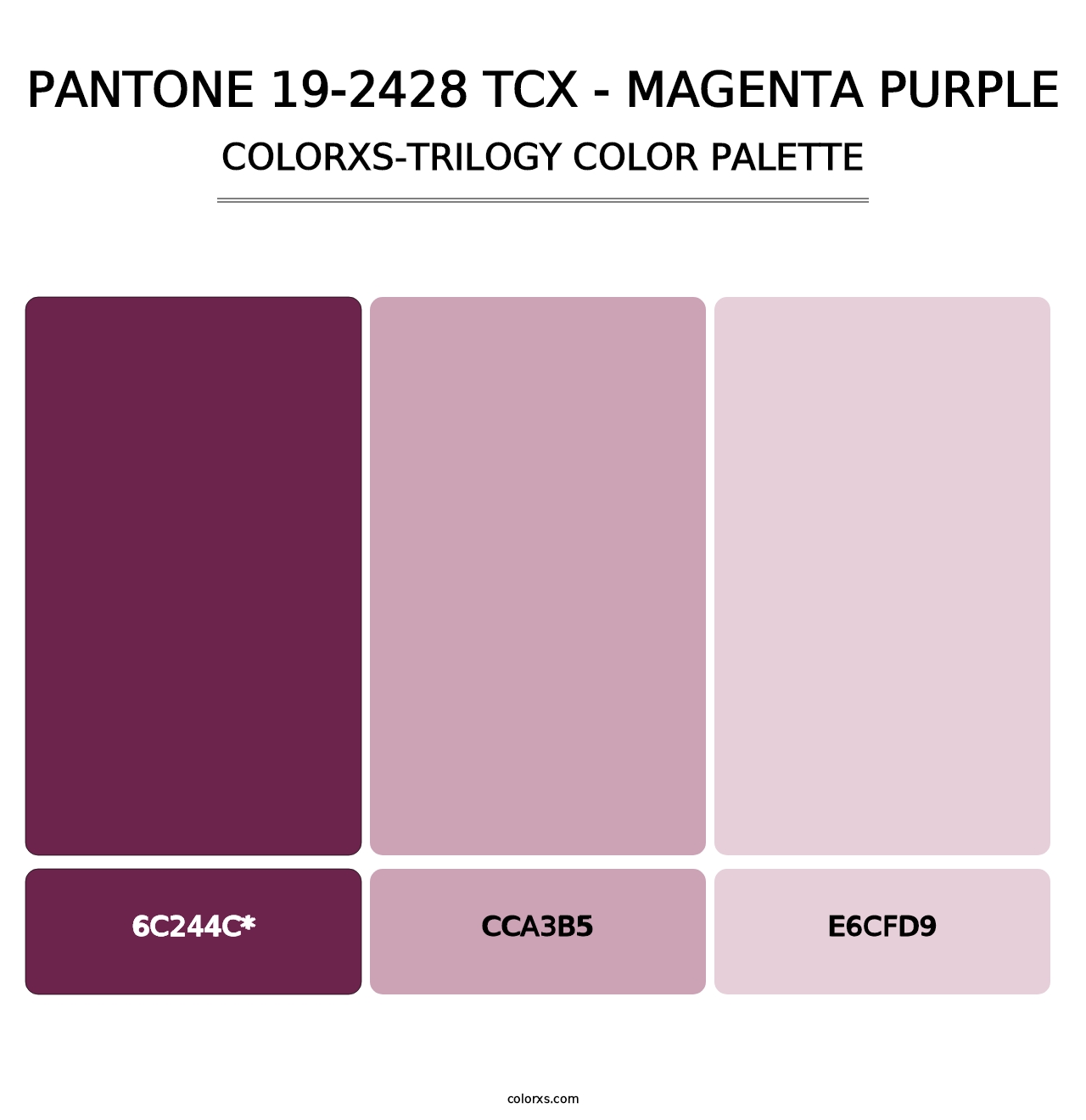 PANTONE 19-2428 TCX - Magenta Purple - Colorxs Trilogy Palette