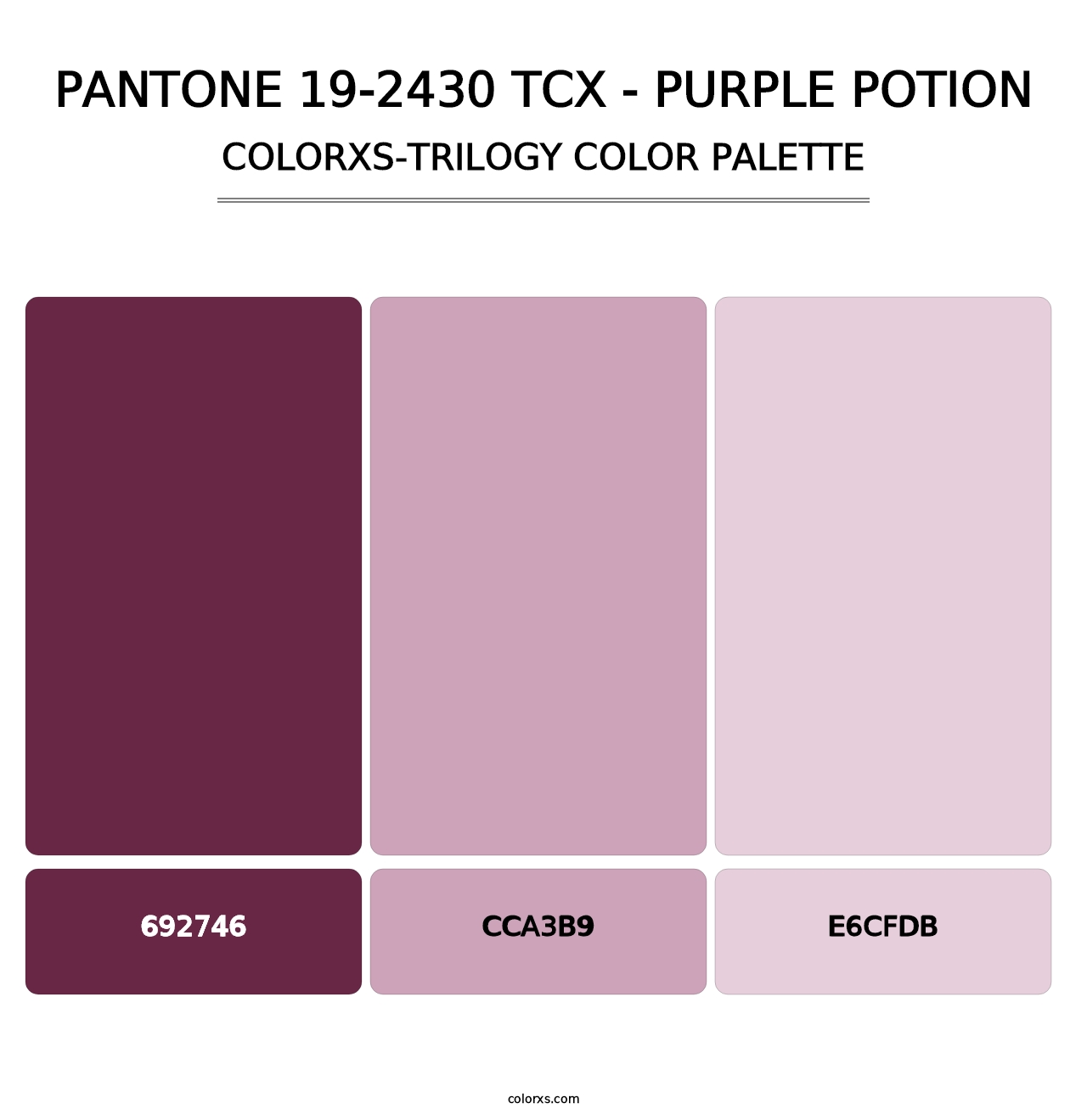 PANTONE 19-2430 TCX - Purple Potion - Colorxs Trilogy Palette