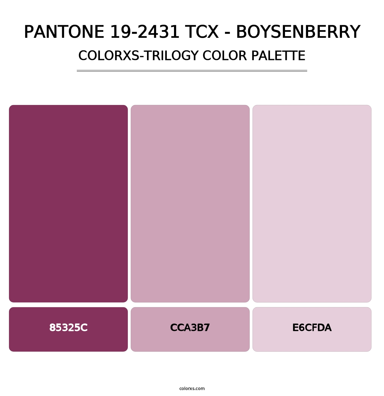 PANTONE 19-2431 TCX - Boysenberry - Colorxs Trilogy Palette
