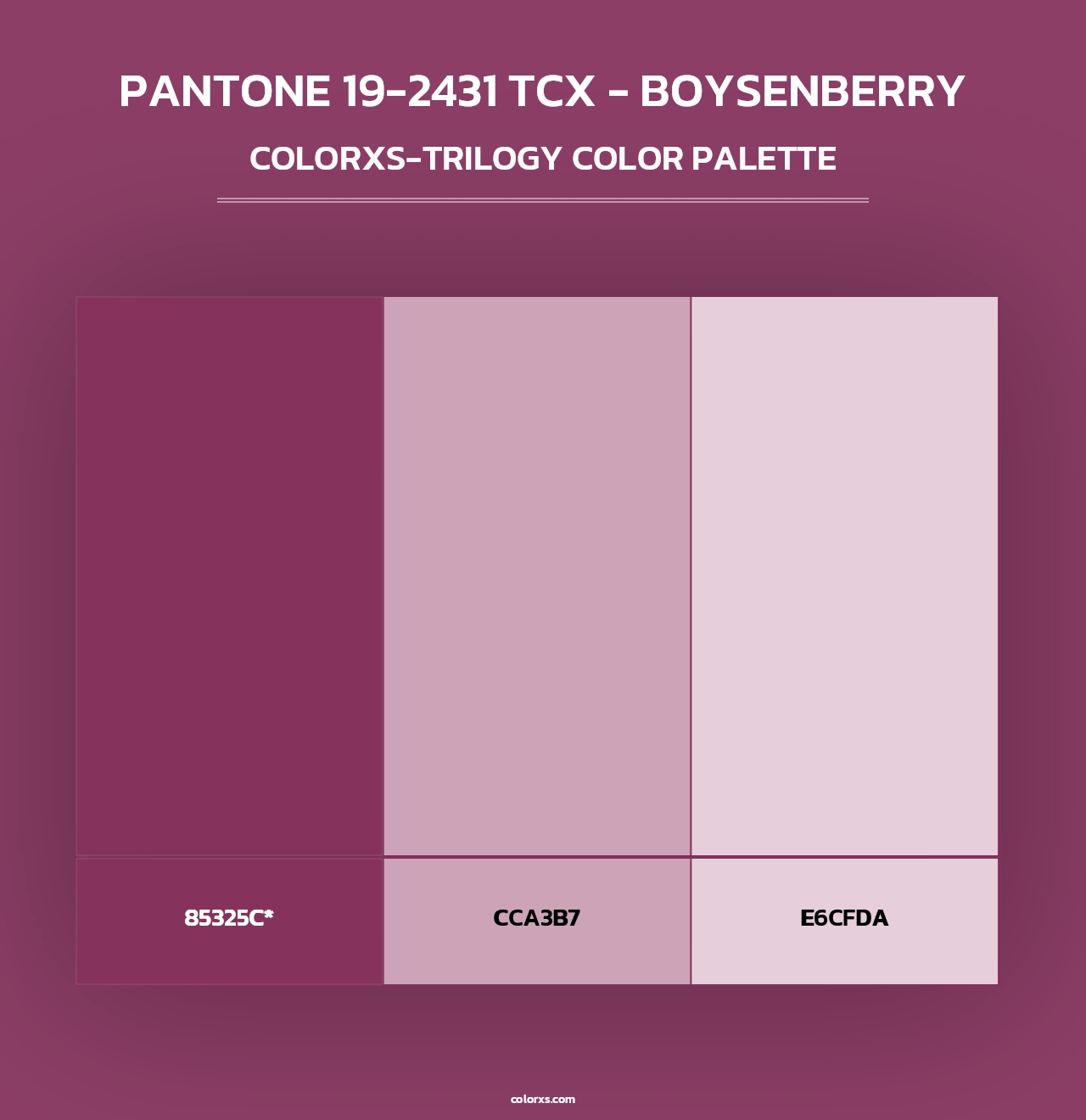 PANTONE 19-2431 TCX - Boysenberry - Colorxs Trilogy Palette