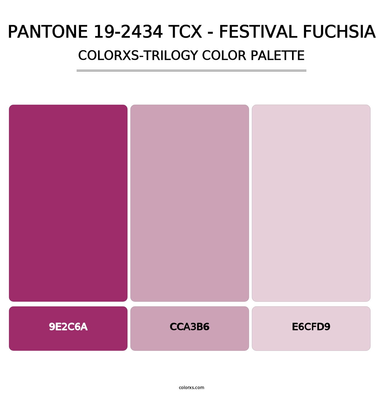 PANTONE 19-2434 TCX - Festival Fuchsia - Colorxs Trilogy Palette