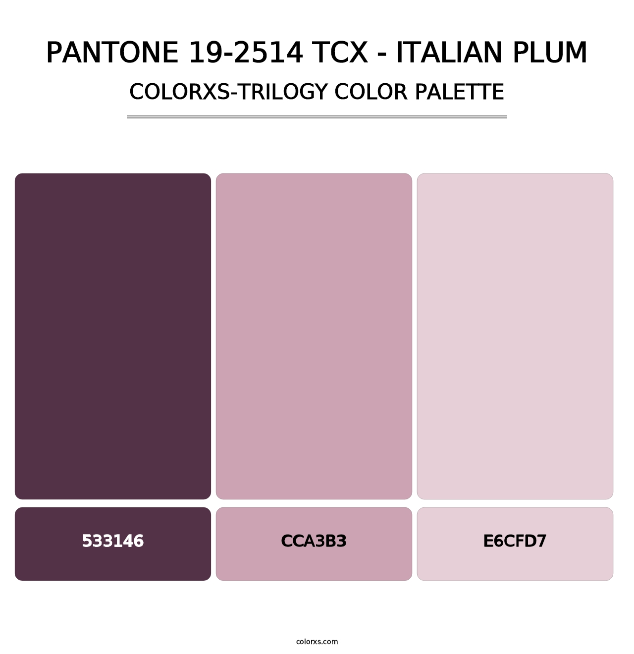 PANTONE 19-2514 TCX - Italian Plum - Colorxs Trilogy Palette