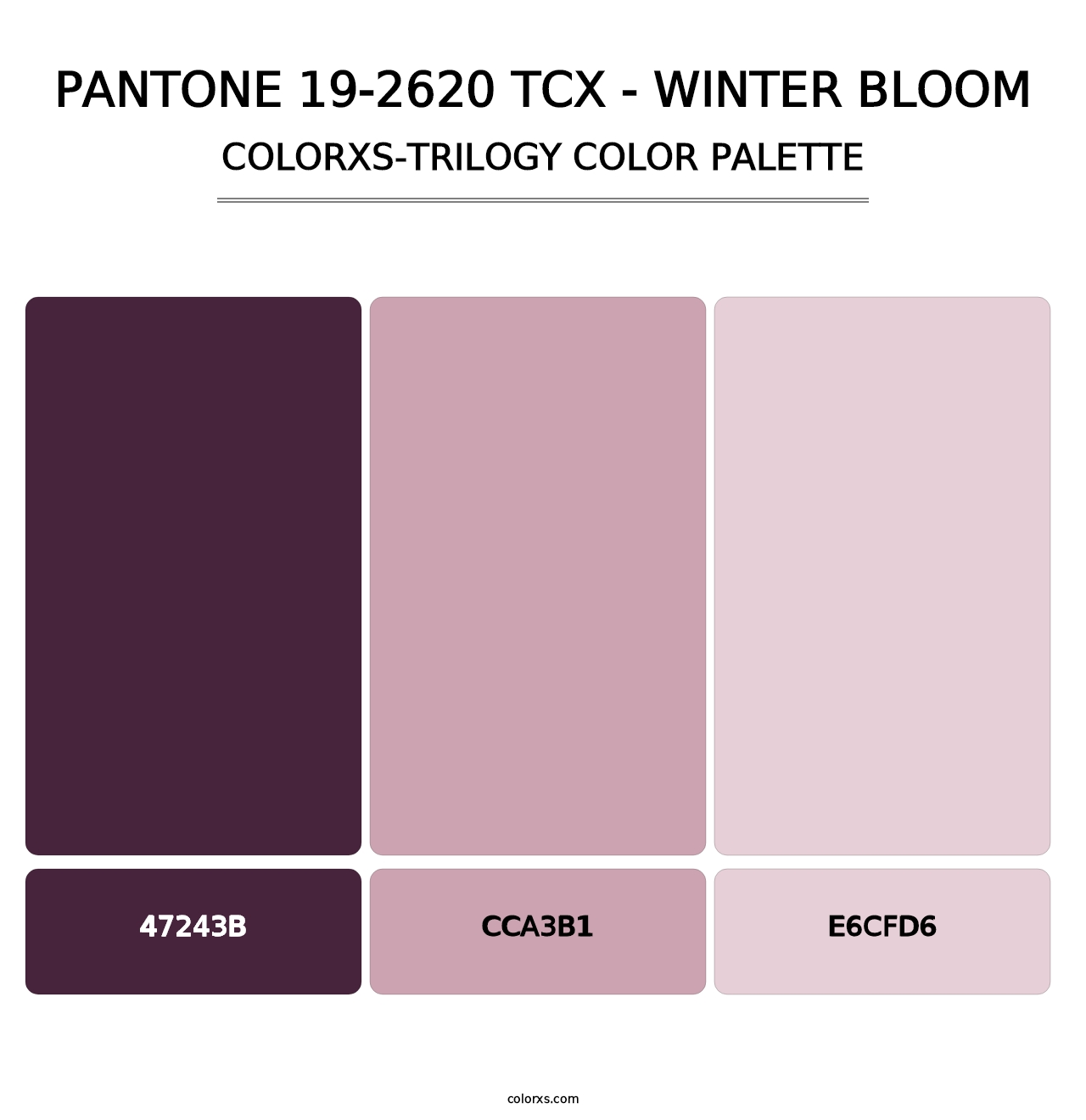 PANTONE 19-2620 TCX - Winter Bloom - Colorxs Trilogy Palette