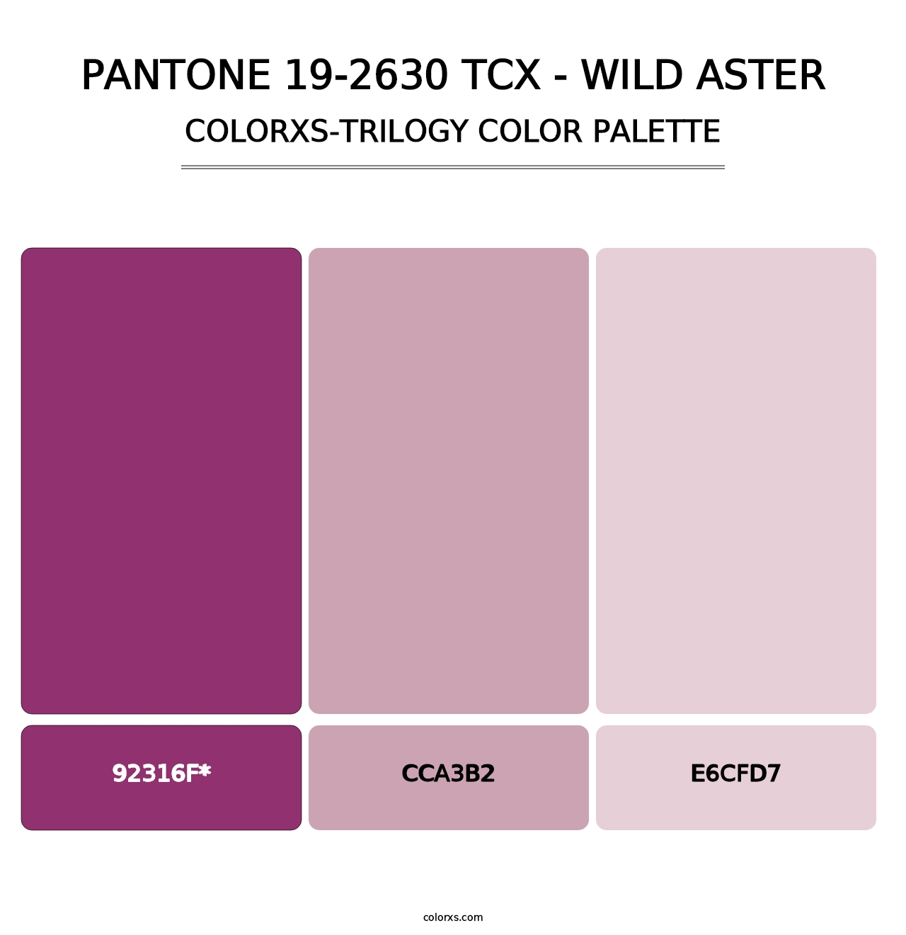 PANTONE 19-2630 TCX - Wild Aster - Colorxs Trilogy Palette