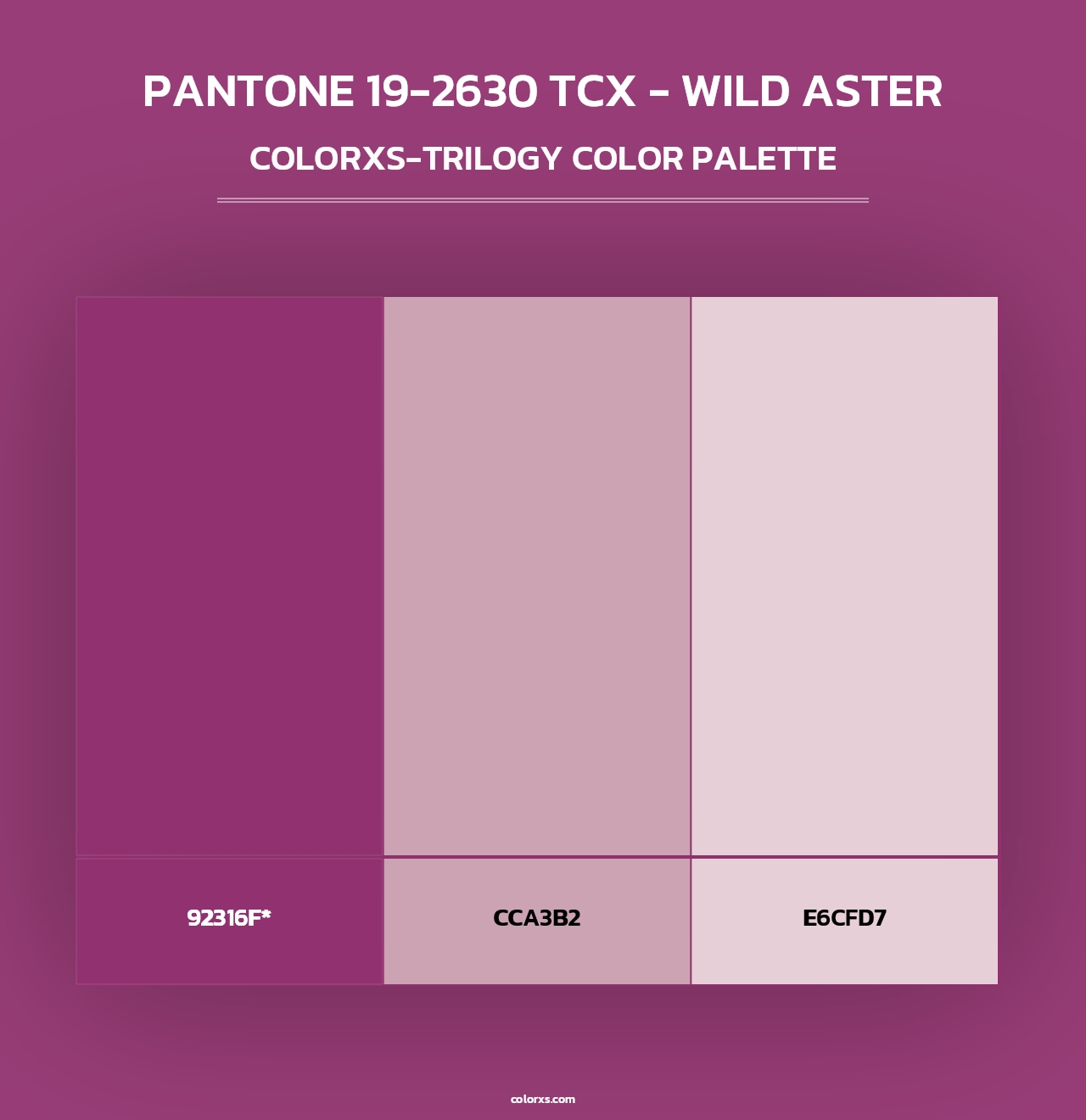 PANTONE 19-2630 TCX - Wild Aster - Colorxs Trilogy Palette