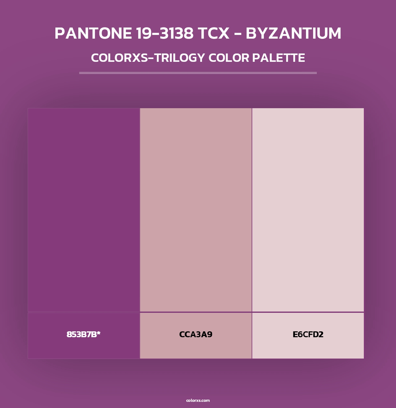 PANTONE 19-3138 TCX - Byzantium - Colorxs Trilogy Palette