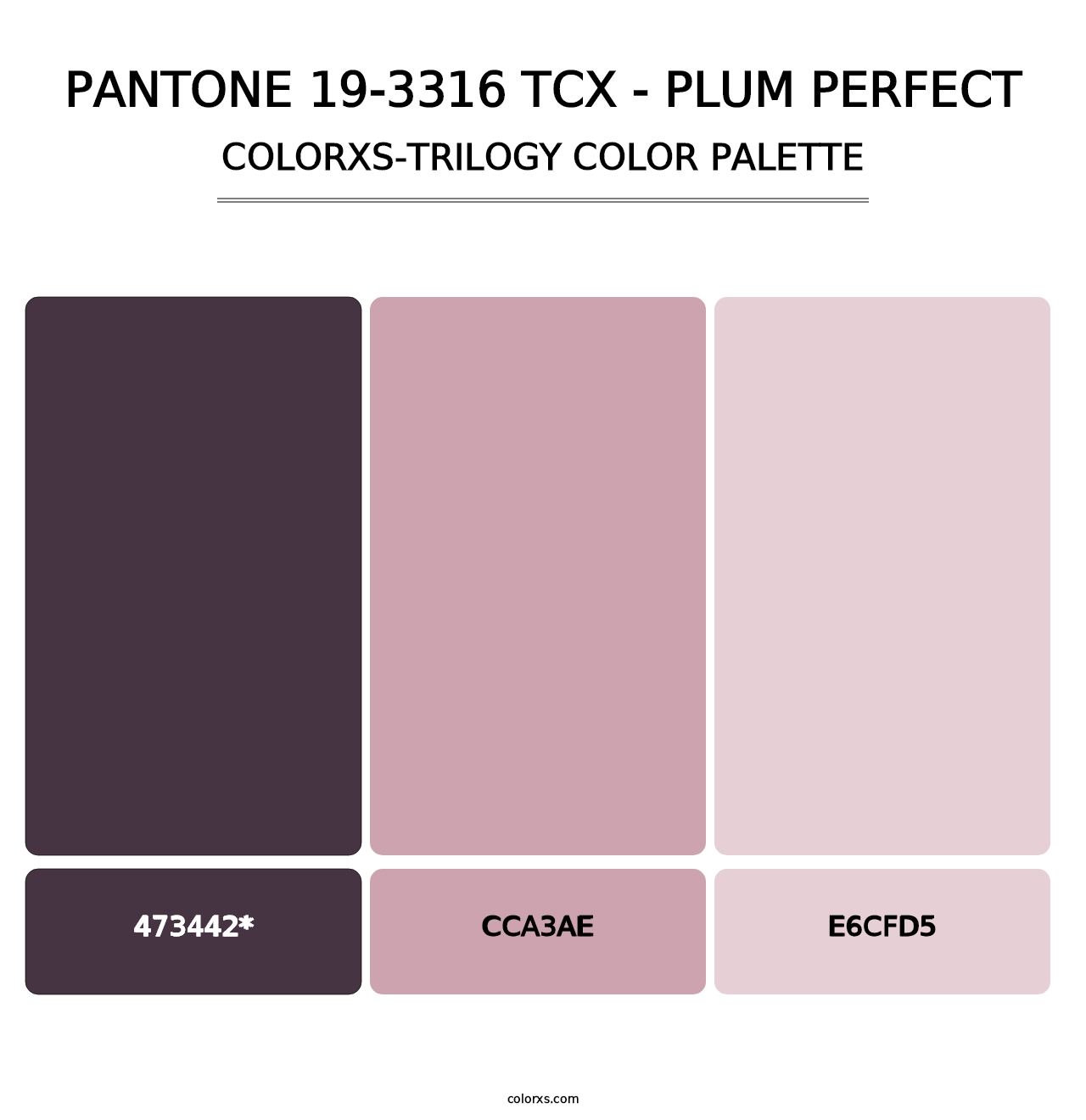 PANTONE 19-3316 TCX - Plum Perfect - Colorxs Trilogy Palette