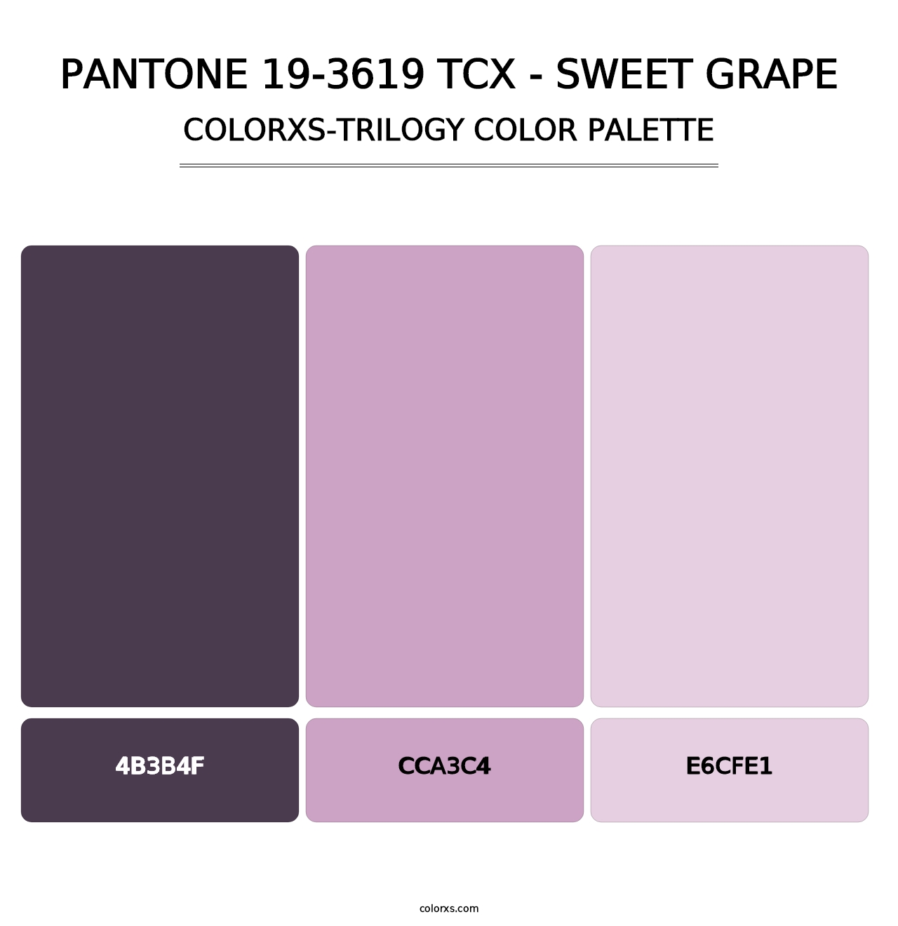 PANTONE 19-3619 TCX - Sweet Grape - Colorxs Trilogy Palette