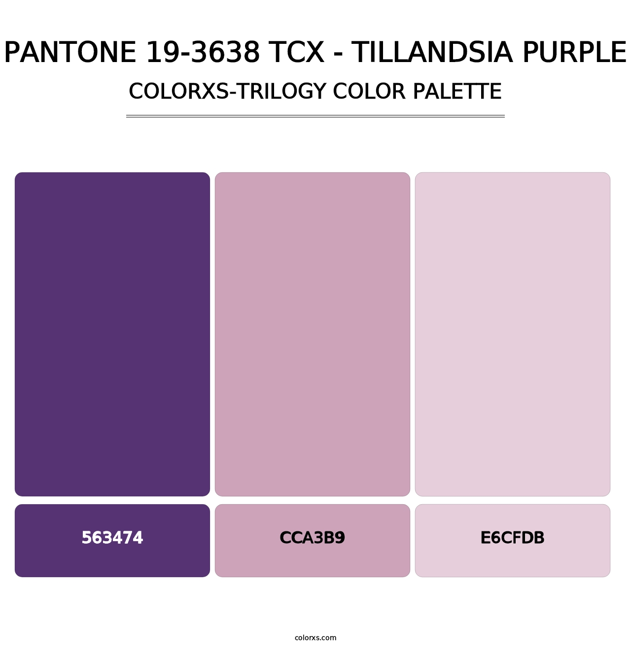PANTONE 19-3638 TCX - Tillandsia Purple - Colorxs Trilogy Palette