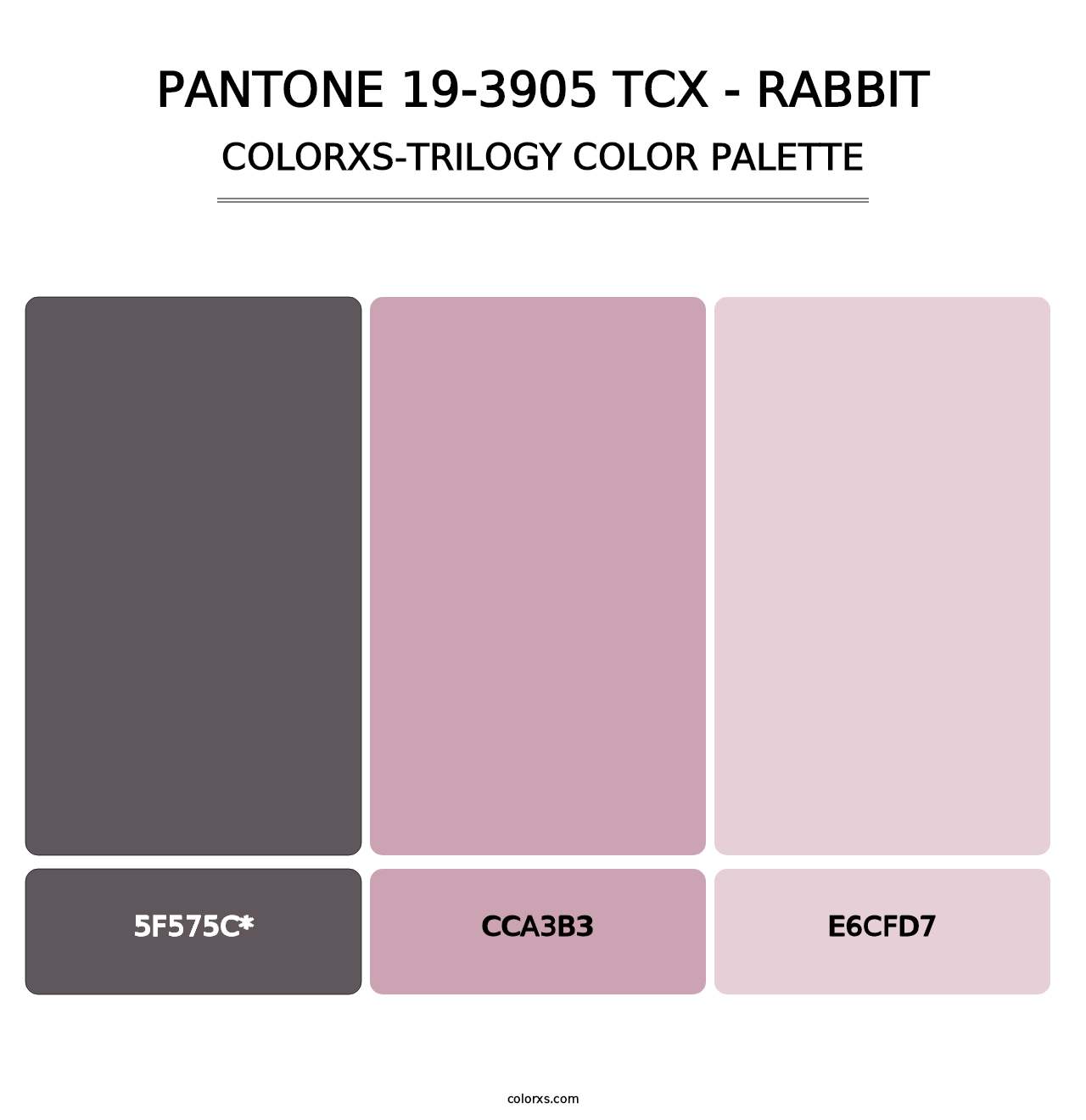 PANTONE 19-3905 TCX - Rabbit - Colorxs Trilogy Palette