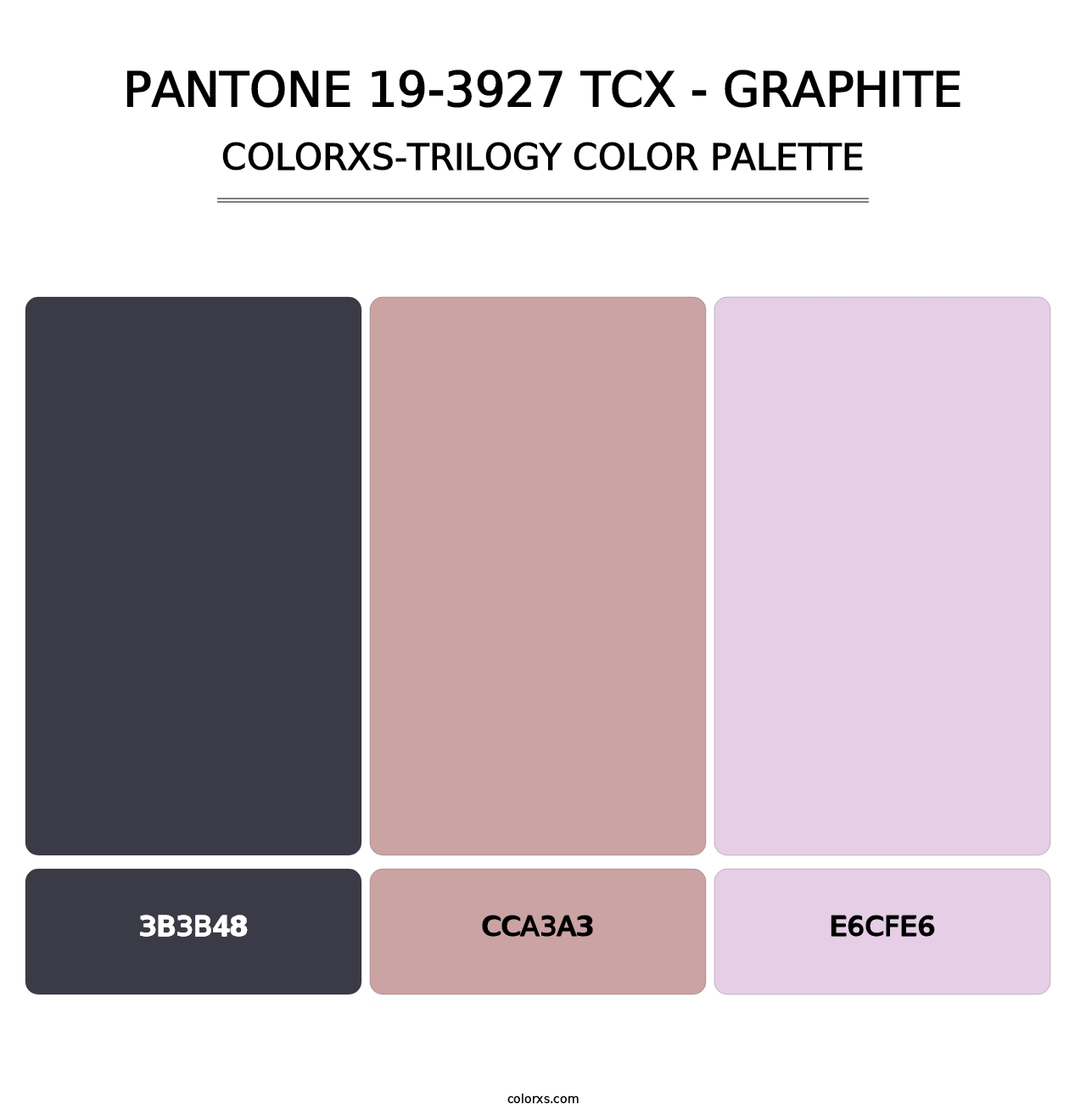 PANTONE 19-3927 TCX - Graphite - Colorxs Trilogy Palette