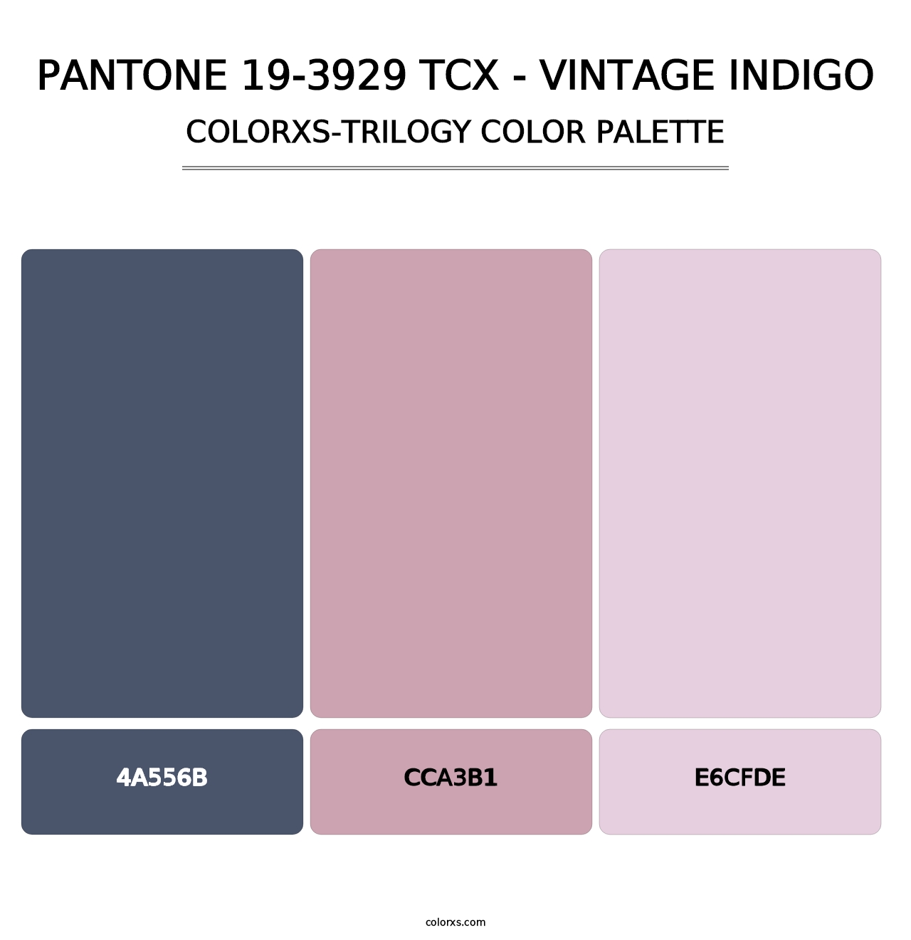 PANTONE 19-3929 TCX - Vintage Indigo - Colorxs Trilogy Palette