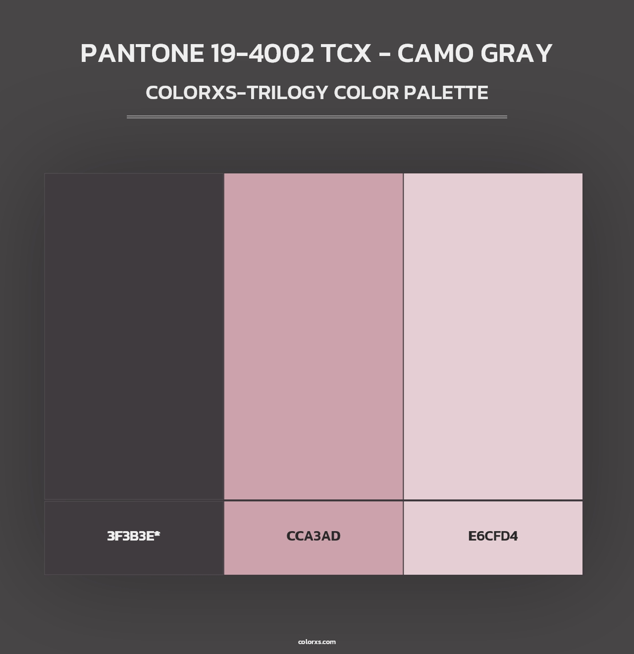 PANTONE 19-4002 TCX - Camo Gray - Colorxs Trilogy Palette