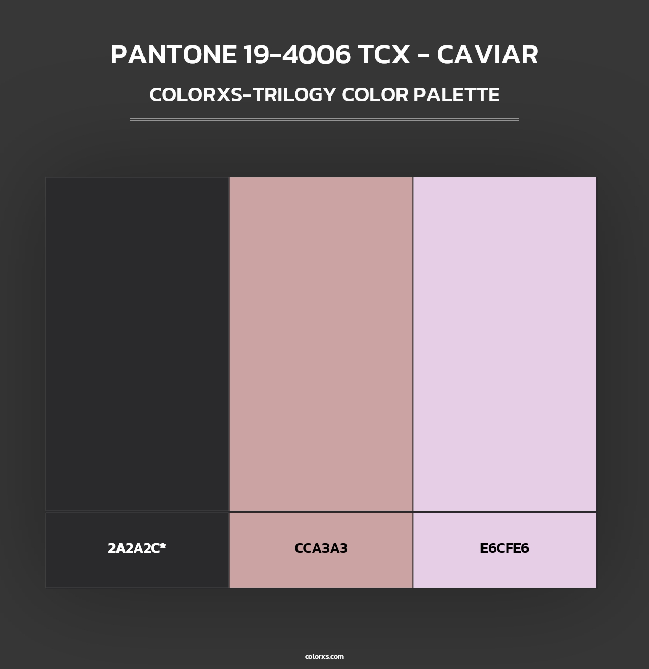 PANTONE 19-4006 TCX - Caviar - Colorxs Trilogy Palette